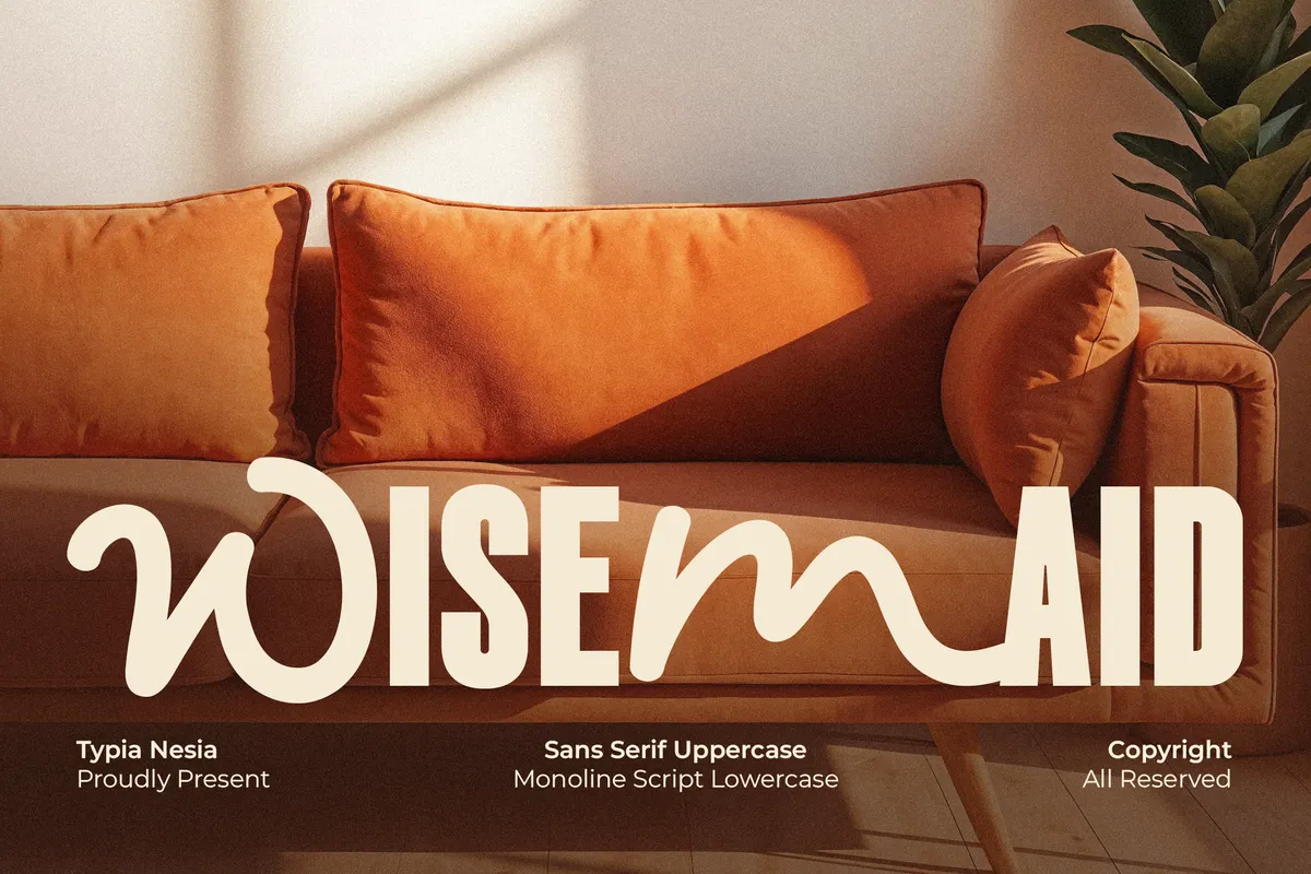 Wisemaid - Tall Sans & Monoline Script Font