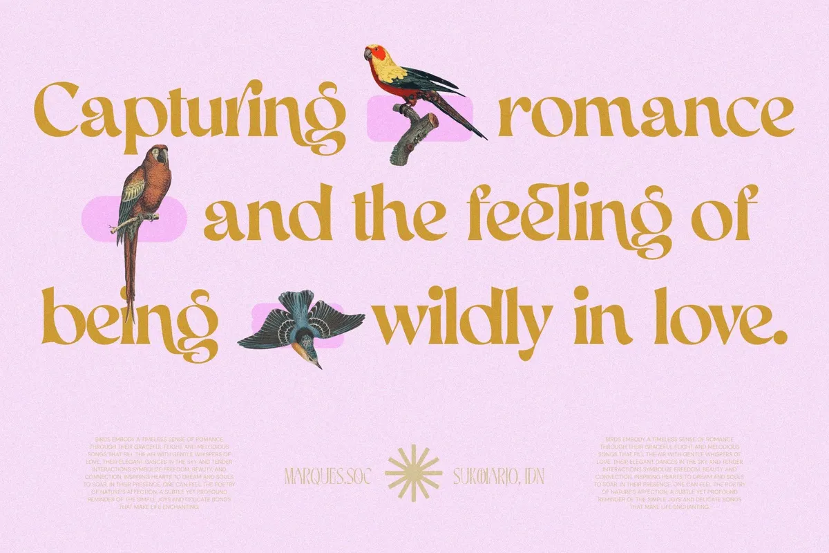 AEKIY KAGON — Elegant Swash Serif Font