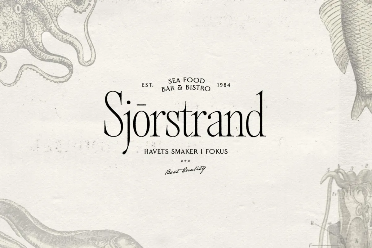 Alizee — Classy Hybrid Serif