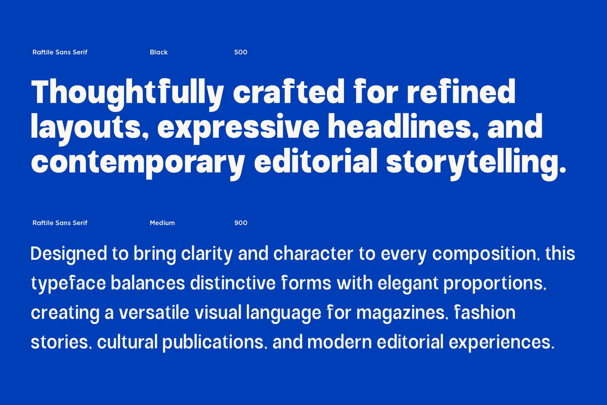 Raftile - Bold Sans Serif Font Family