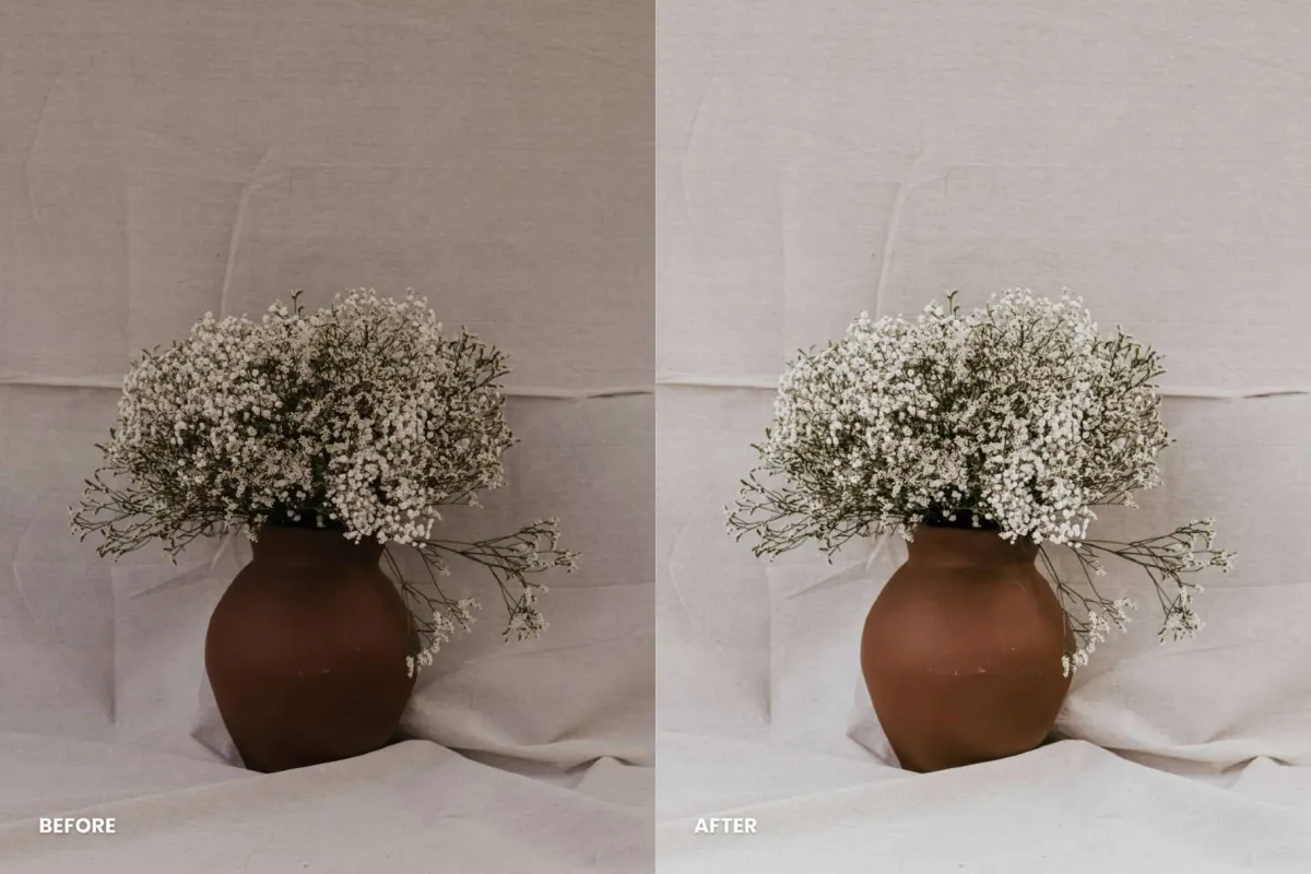 Clean Aesthetic Lightroom Presets