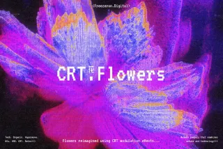 CRT Flowers Overlays