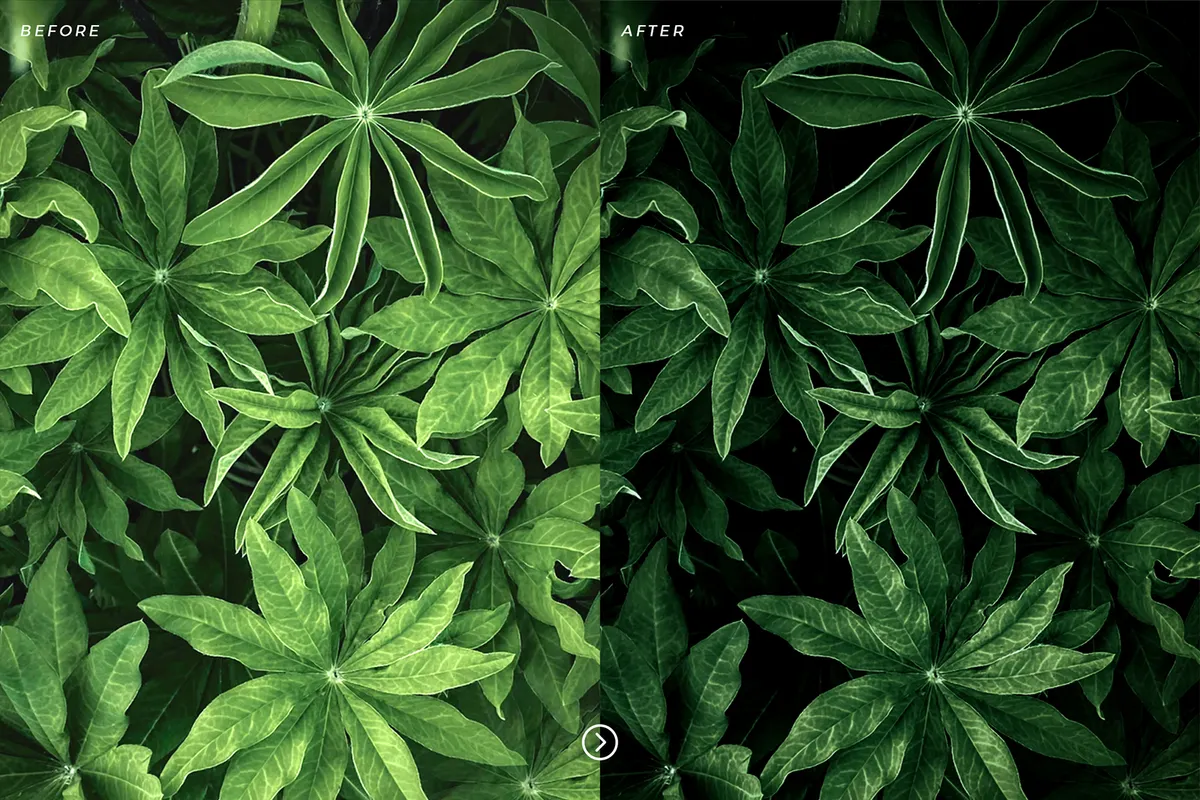 Moody Green Lightroom Presets