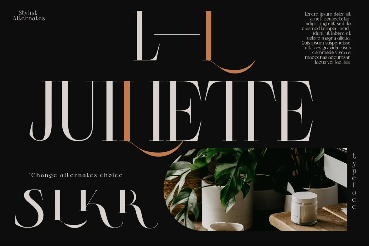 Colibre Bristole Pro - Serif Font