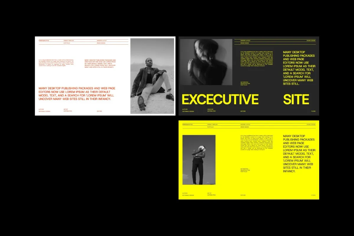 Brand Portfolio PowerPoint Template – Davids