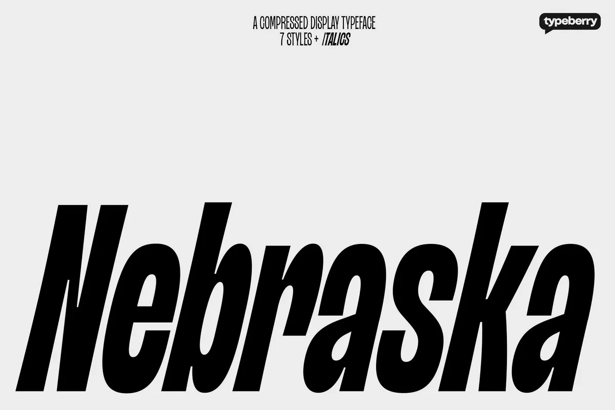 Nebraska - Tall Condensed Display Font Family