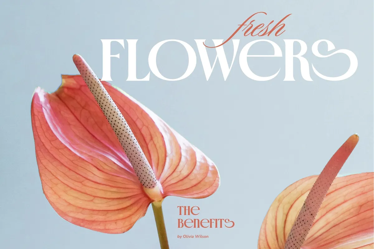 Crown Majestic - Stylish Swash Serif Font