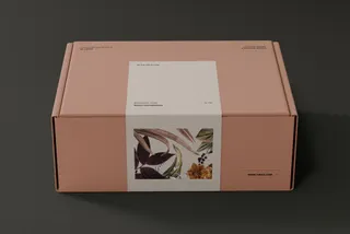 PASTEL Shipping Box Mockup Vol.3