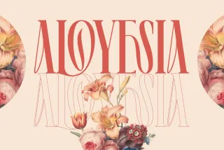 Aloyesia - Romantic Serif Font