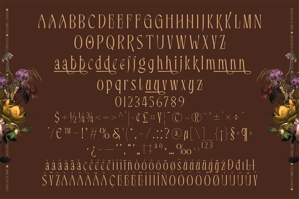 Wrigskan - Elegant Luxury Serif Typeface