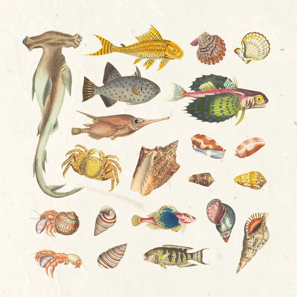 Nautical Vintage Graphic Kit