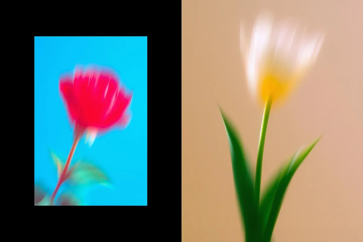 Dream Haze Flower Posters