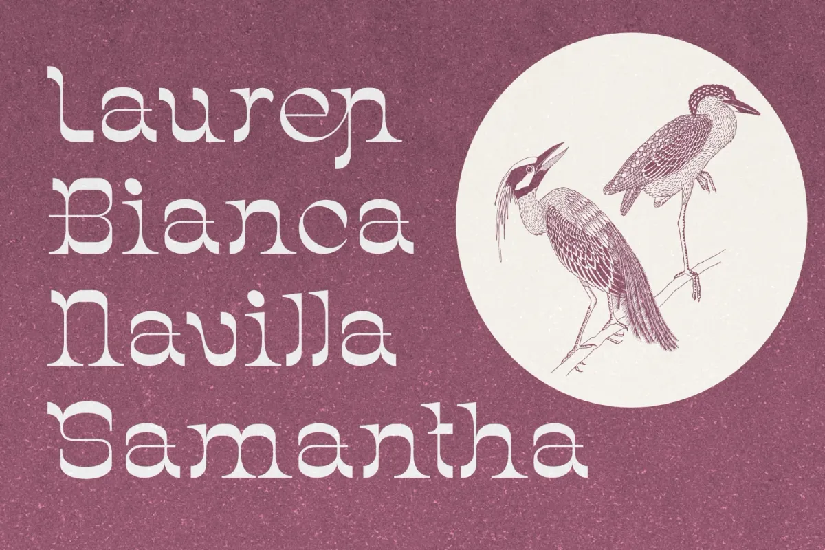 Chenta - Groovy Serif Display Font