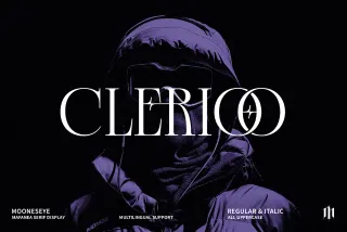 Clerioo - Serif Display Font