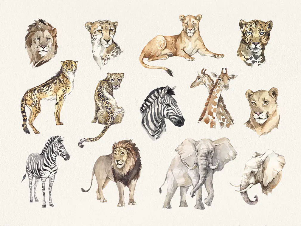 Savanna Watercolor Clipart