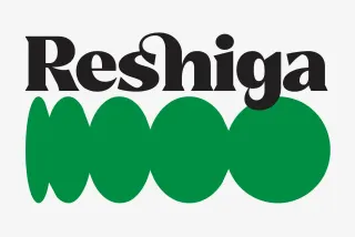 Reshiga - Display Serif Font