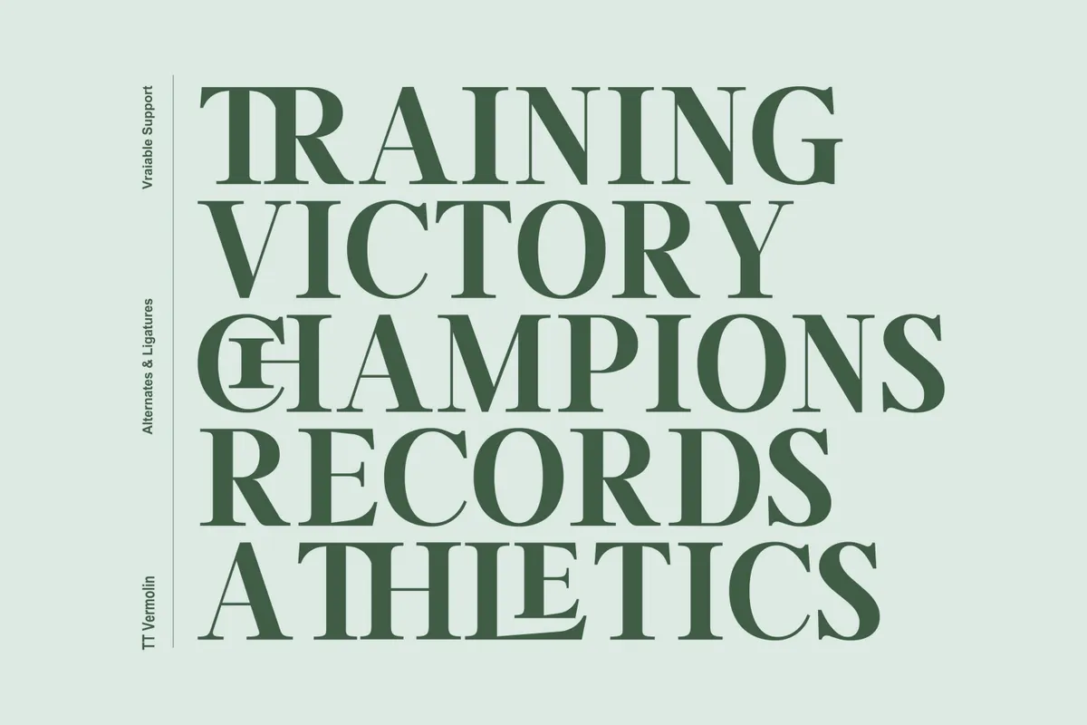 TRT Vermolin - Elegant Serif Font