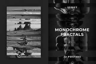 Monochrome Fractals Poster Effect