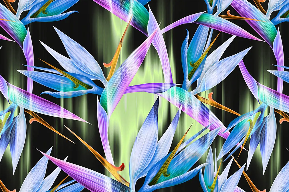 6 Seamless Floral Patterns