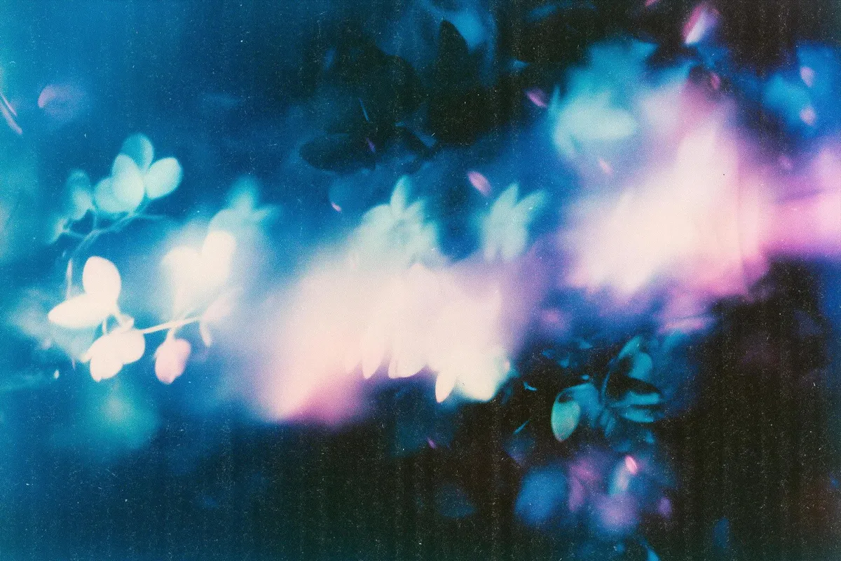 Abstract Floral Backgrounds Pack