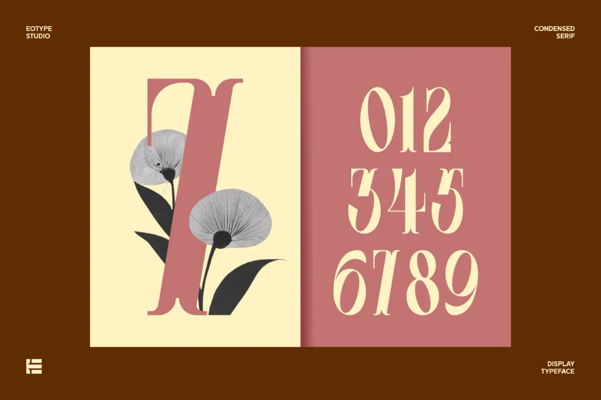 Leonice - Elegant Condensed Serif Font