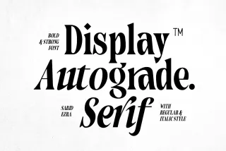 Autograde - Strong Bold Serif