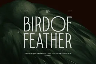 Bird of Feather - Condensed Display Serif Font