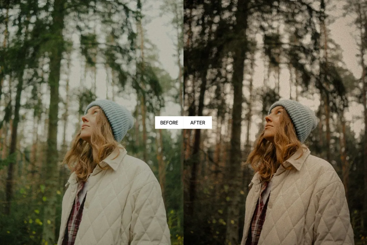 Moody Earth Tones Lightroom Presets