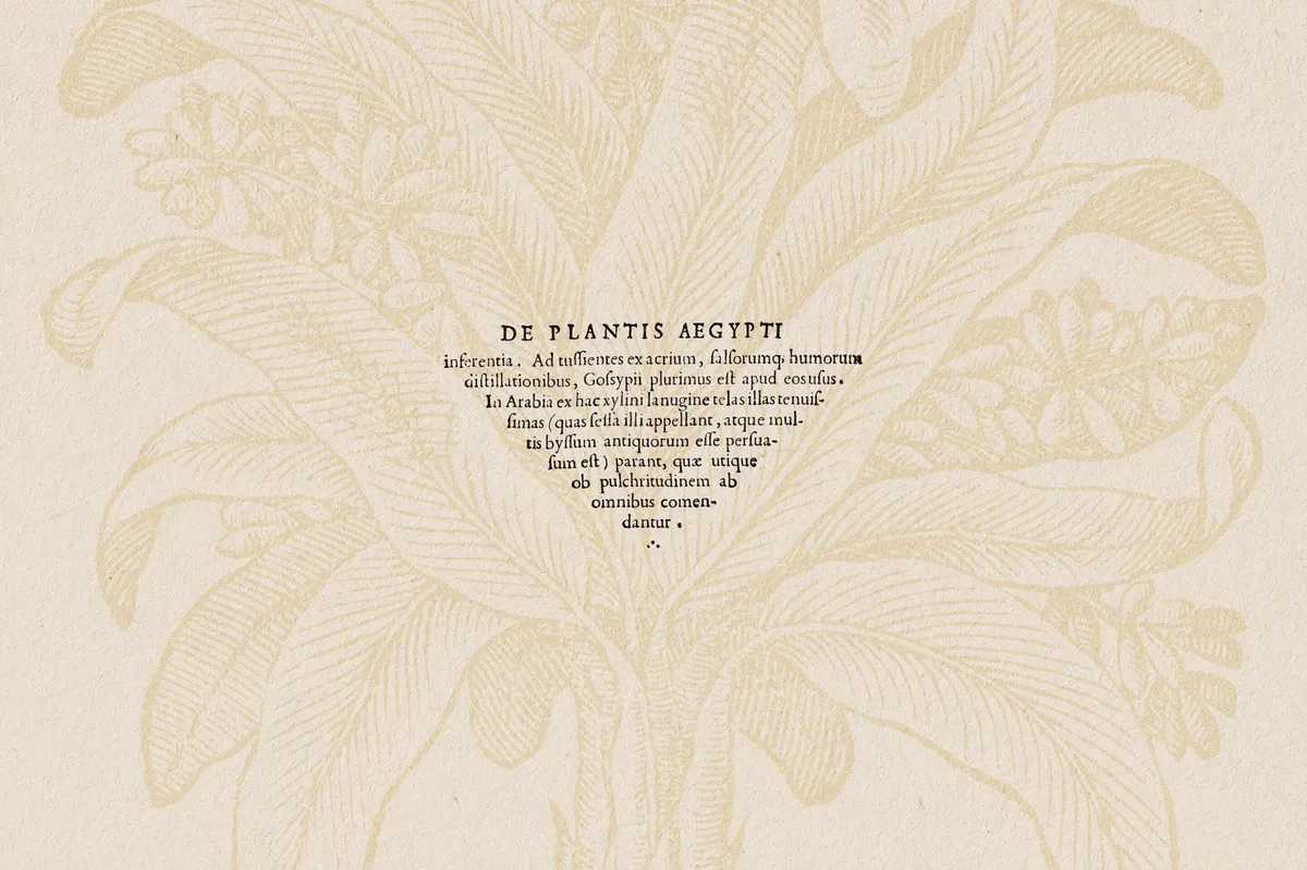 Botanical Illustrations