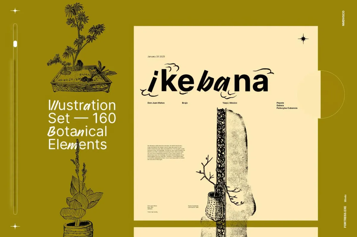 Ikebana Botanical Illustrations Set