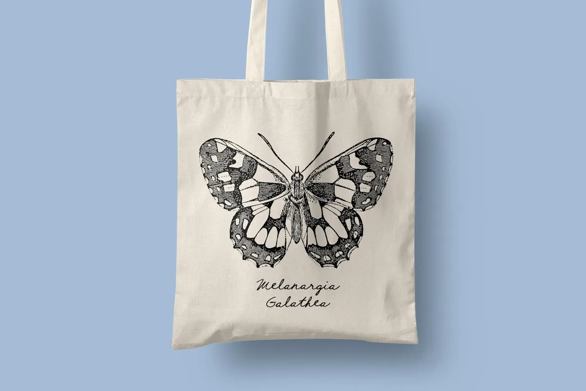 Insects – Vintage Engraving Illustrations