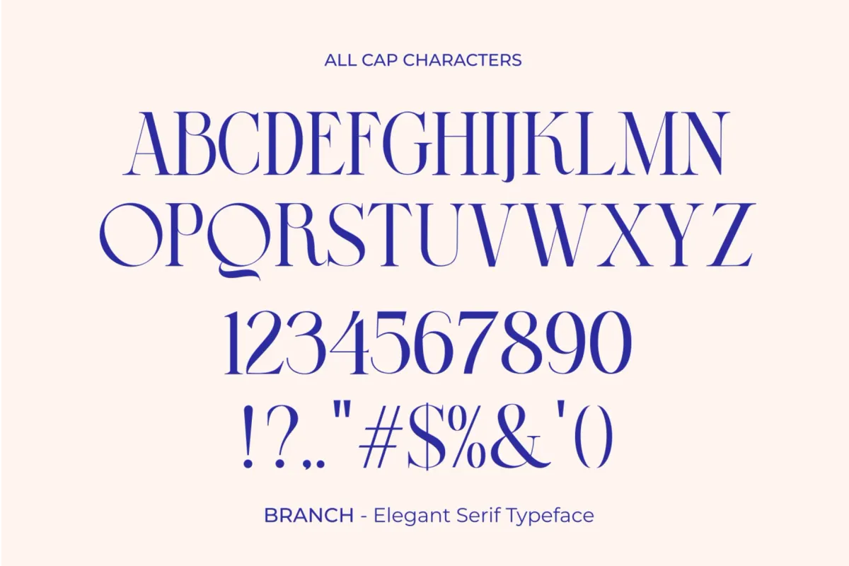 BRANCH - Elegant Serif Font