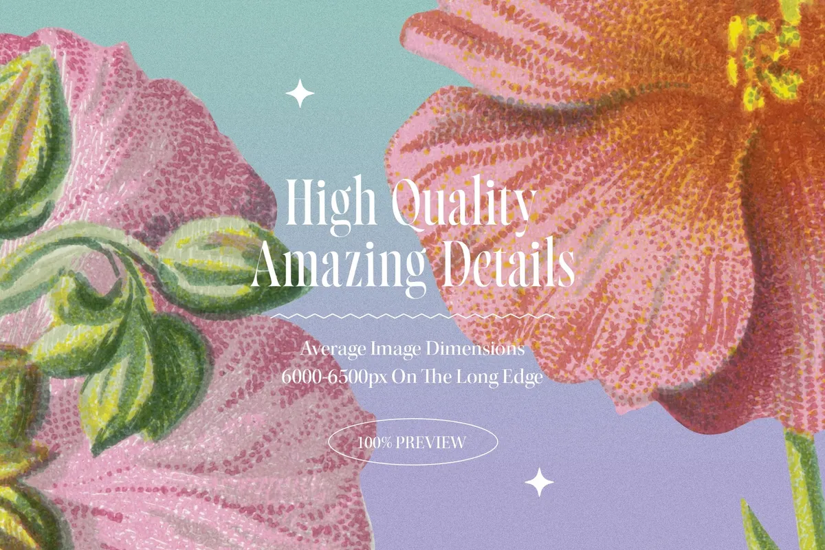 Atlas of Flowers — Botanical Art Set