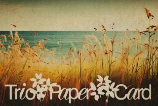 Trio Vintage Paper Textures Photo Effect