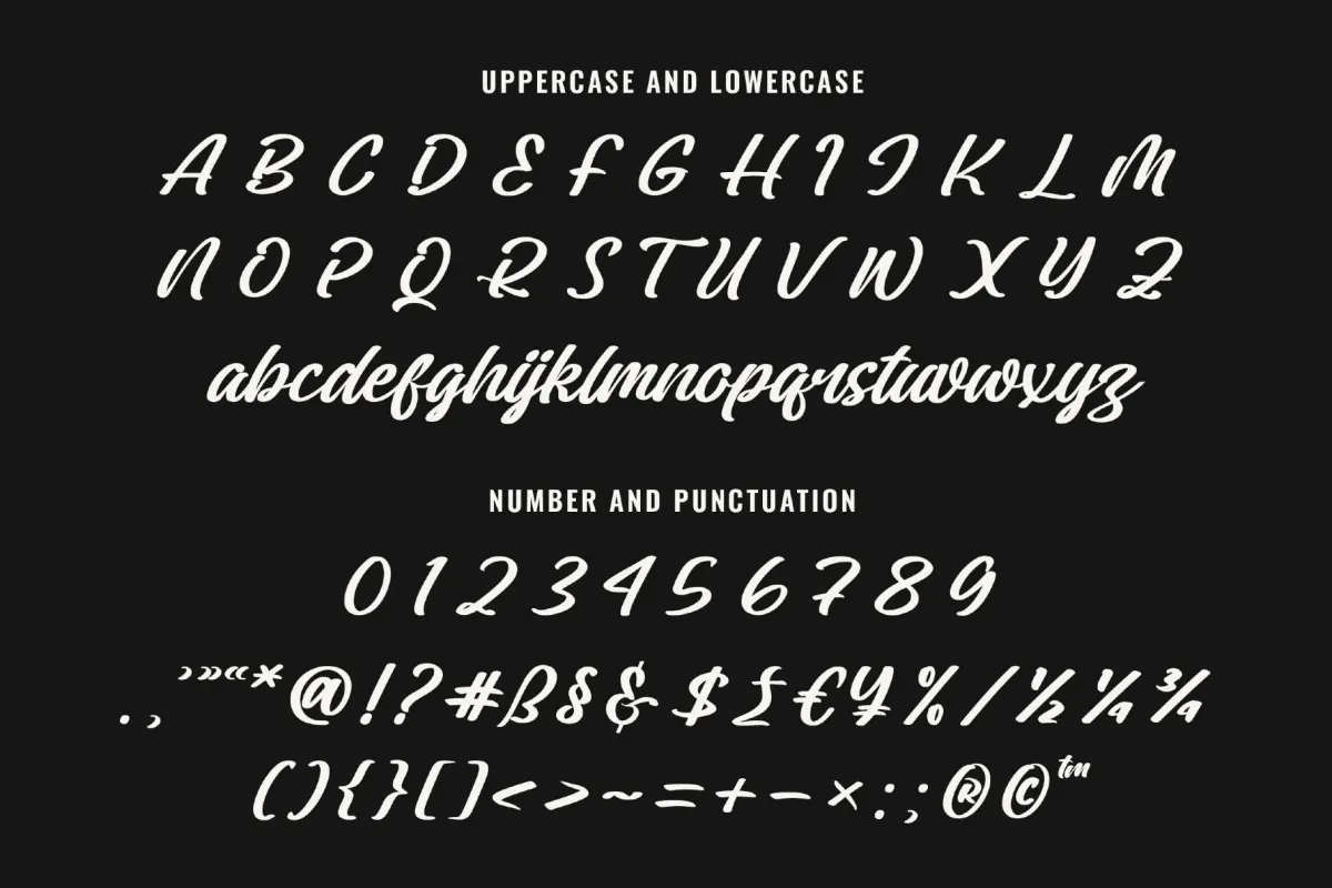 Montavie - Bold Script Typeface