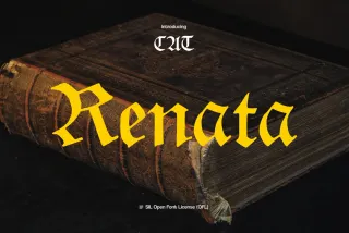 Renata Gothic Font