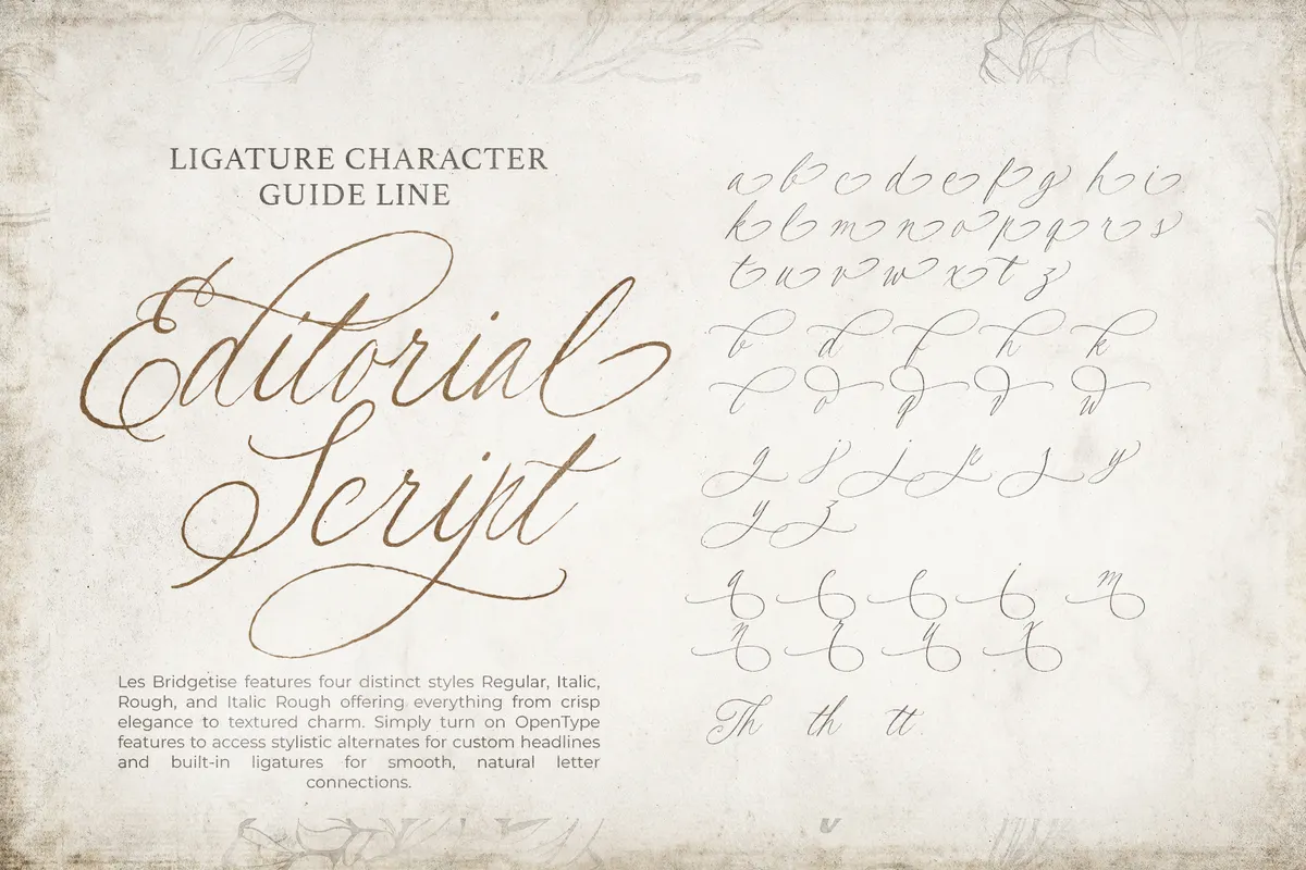 Les Bridgetise - Old Cursive Calligraphy Script
