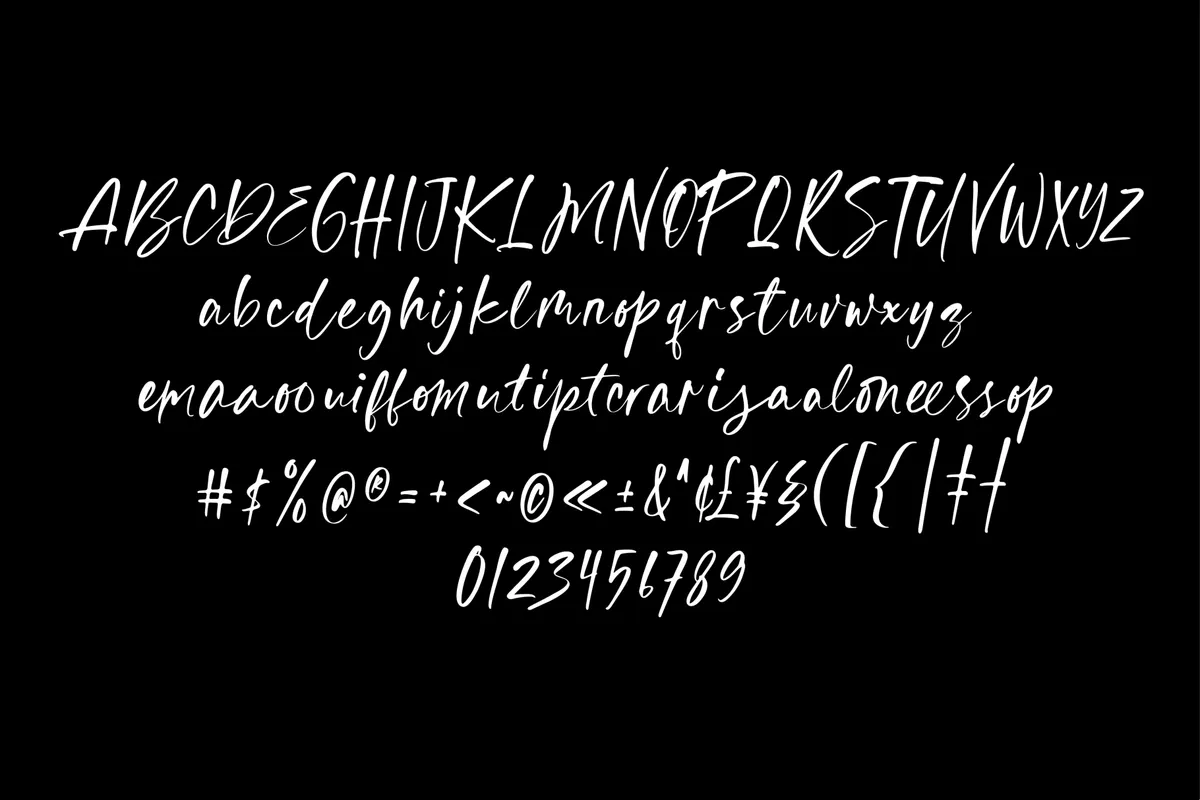 ST Nola Malibu - Script And Display Font Duo
