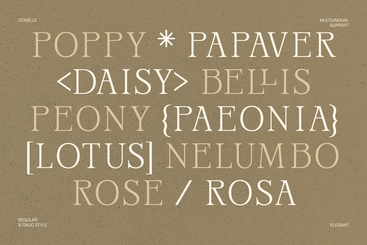 Oonelle - Elegant Serif Font