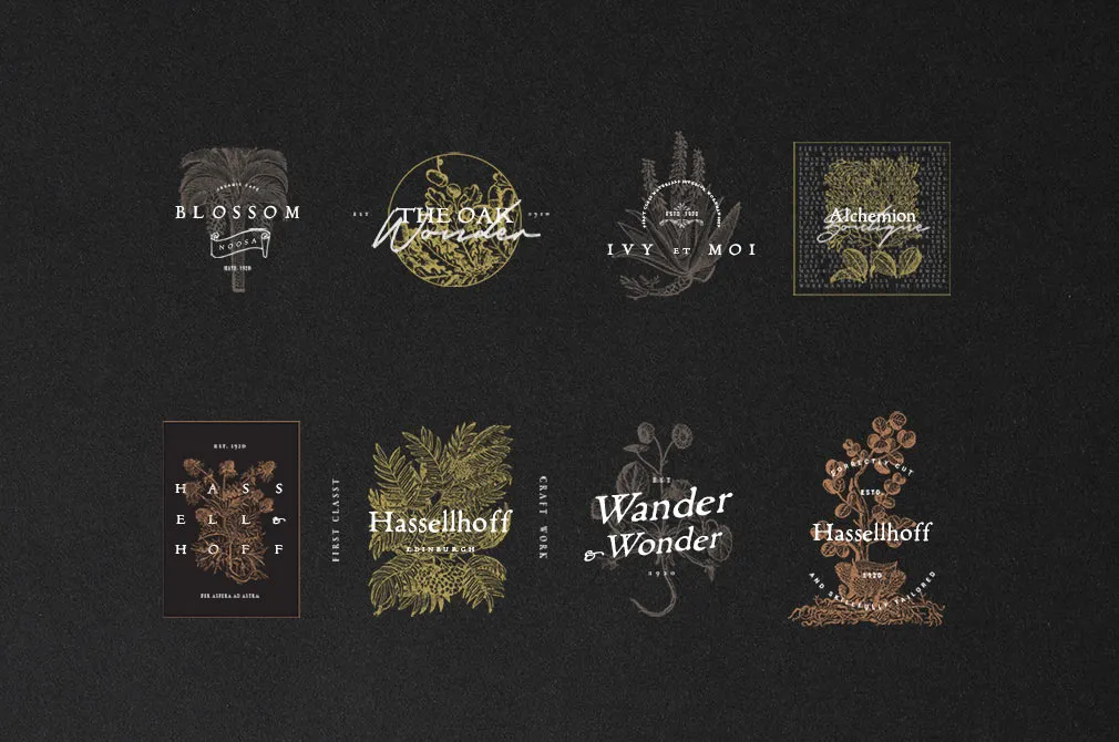 Alchemion Display Serif Font