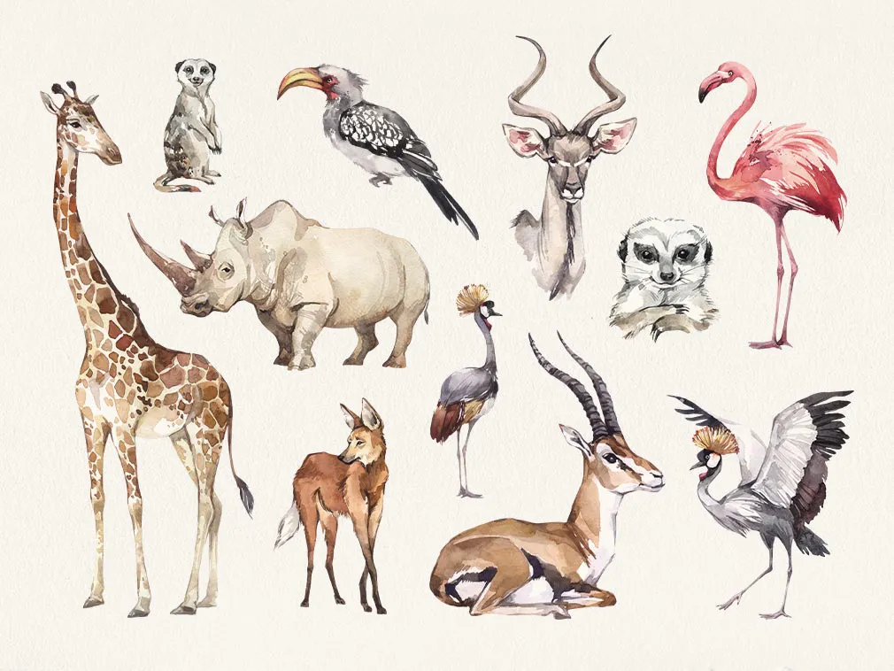 Savanna Watercolor Clipart