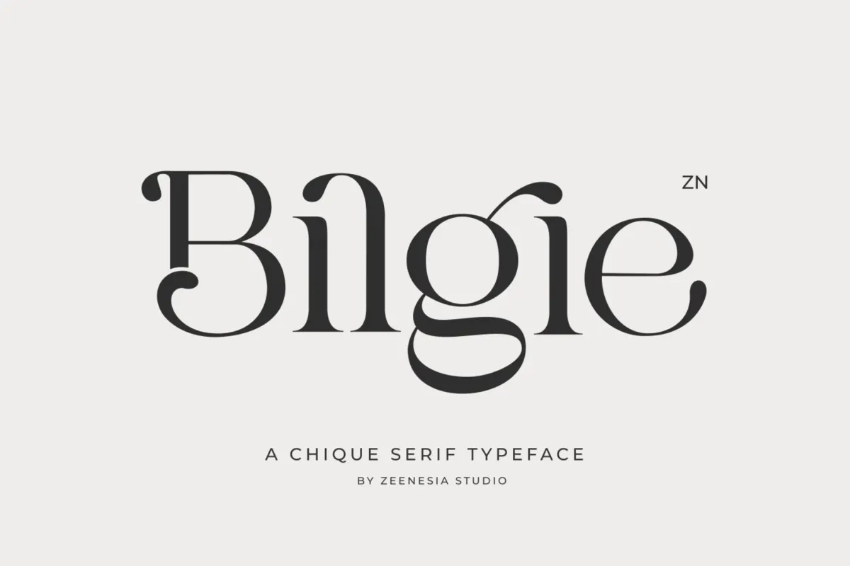 Bilgie - Chic Elegant Font