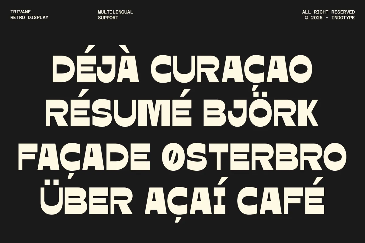 Trivane - Bold Reverse Contrast Display Font
