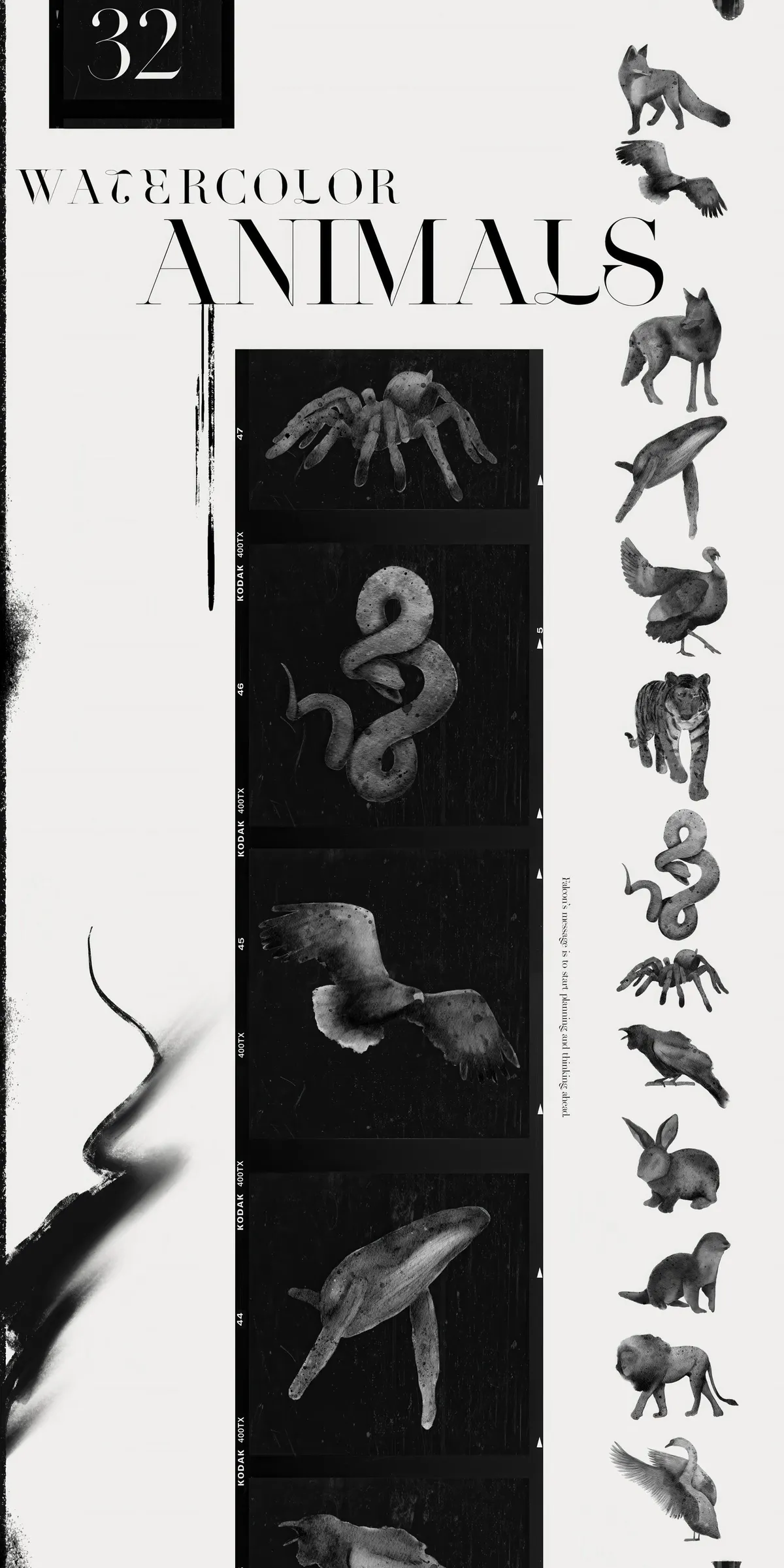 Spirit Animals. Oracle Cards