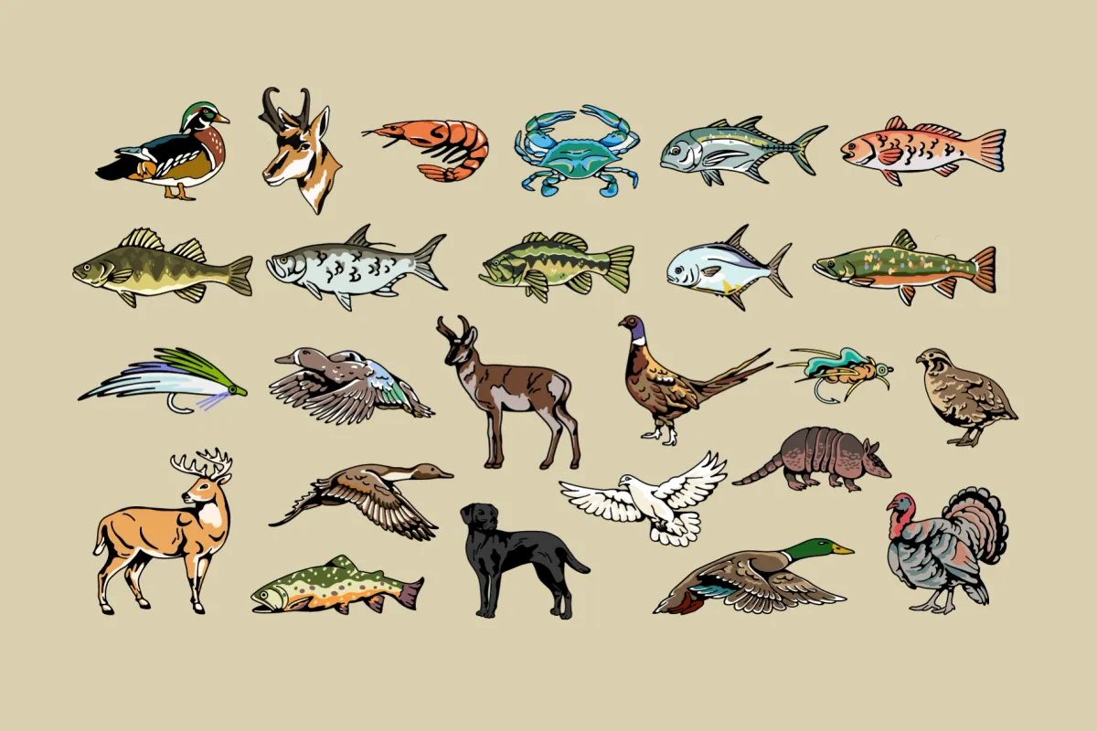 Animal Hunt Badge Collection