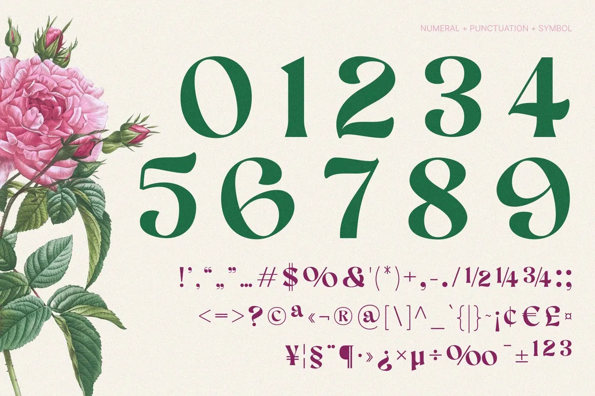AEKIY KAGON — Elegant Swash Serif Font