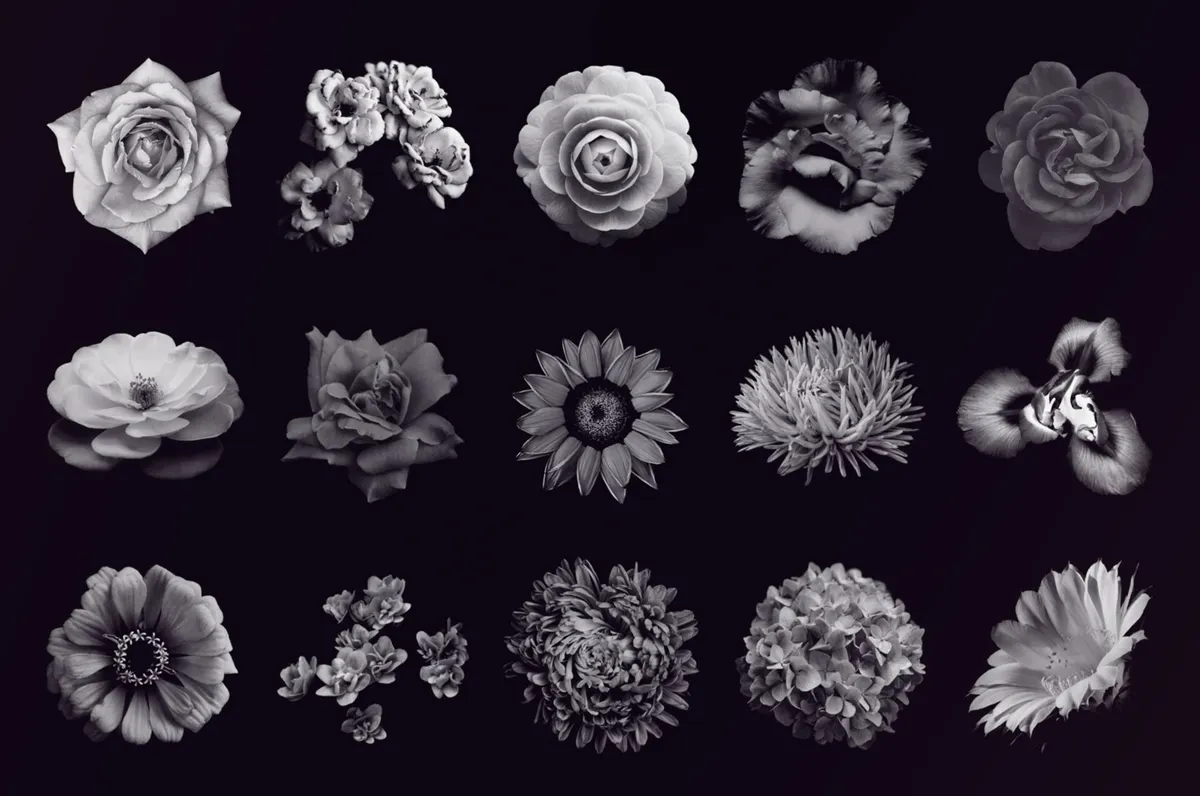 Flower Photoshop Brushes
