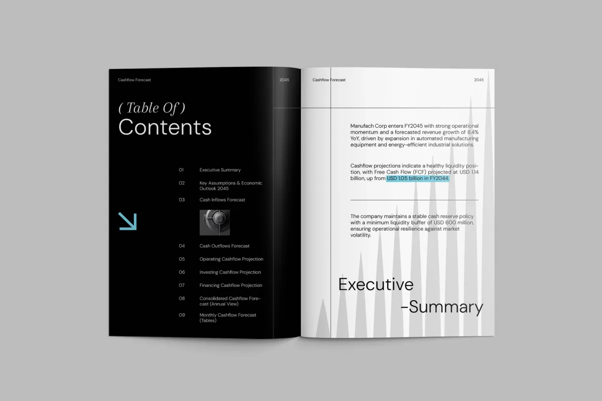 Cashflow Forecast Template InDesign