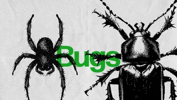 Bugs Dithering Bitmap Vector Shapes
