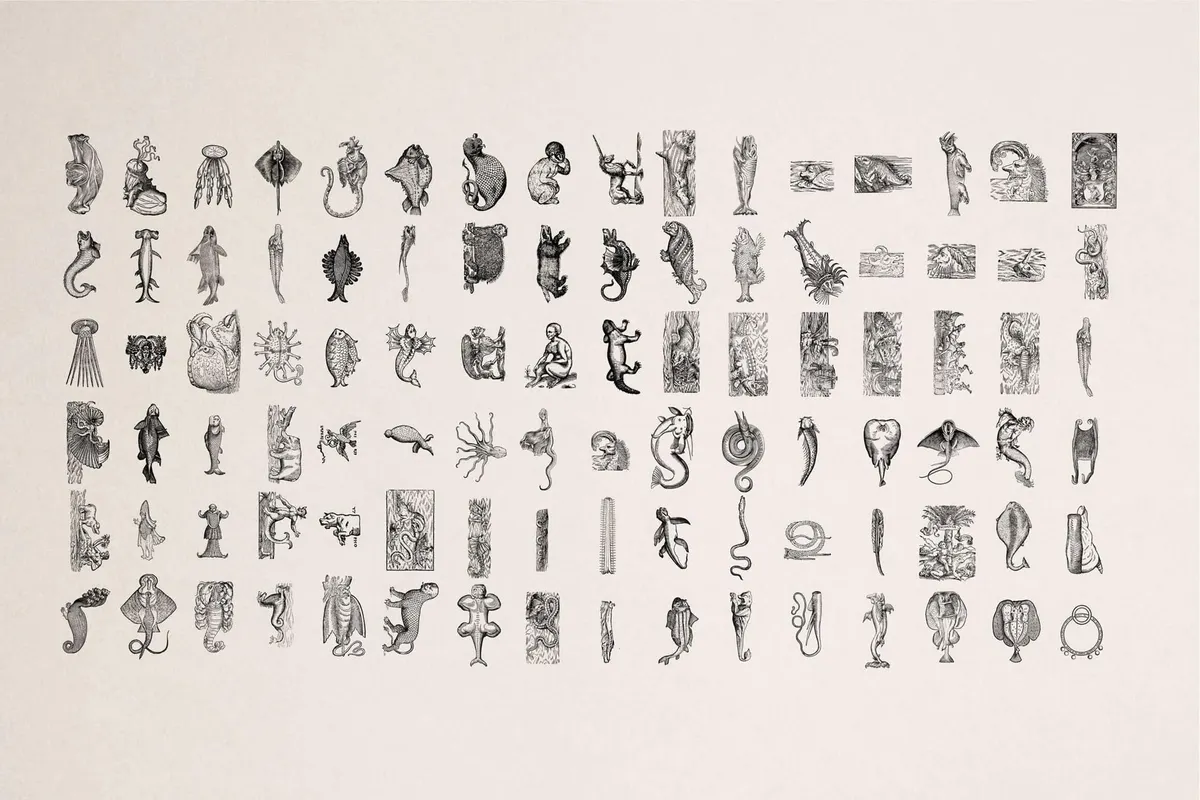Fantastic Beasts Illustrations